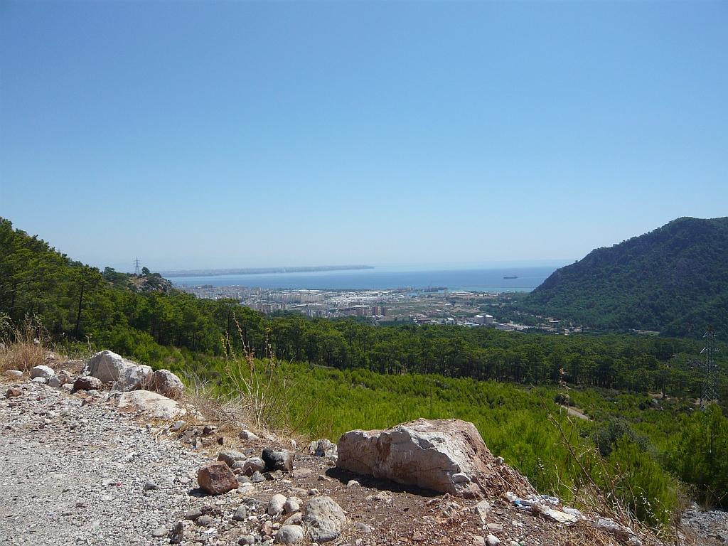 P1150032.JPG