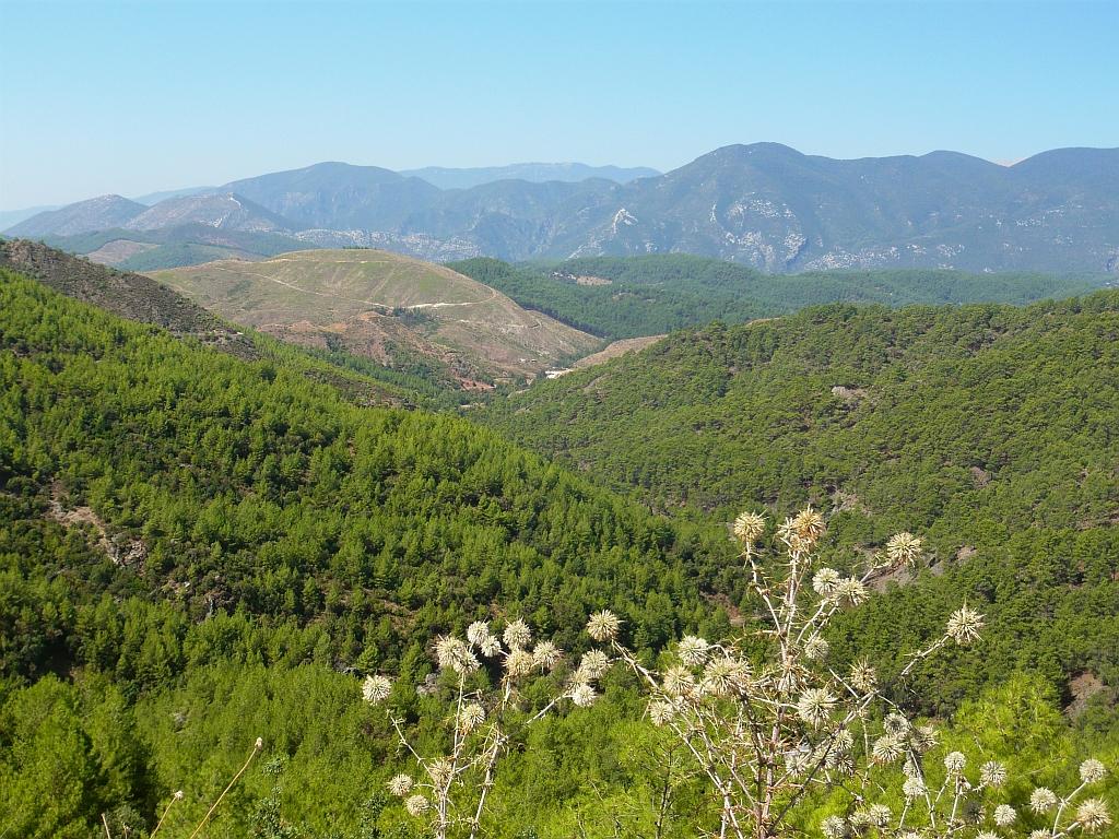 P1150446.JPG