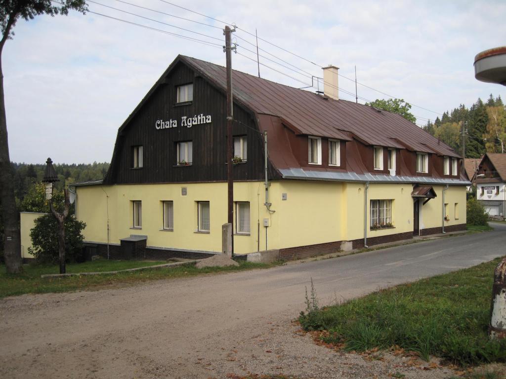 Agatha zepředu.jpg