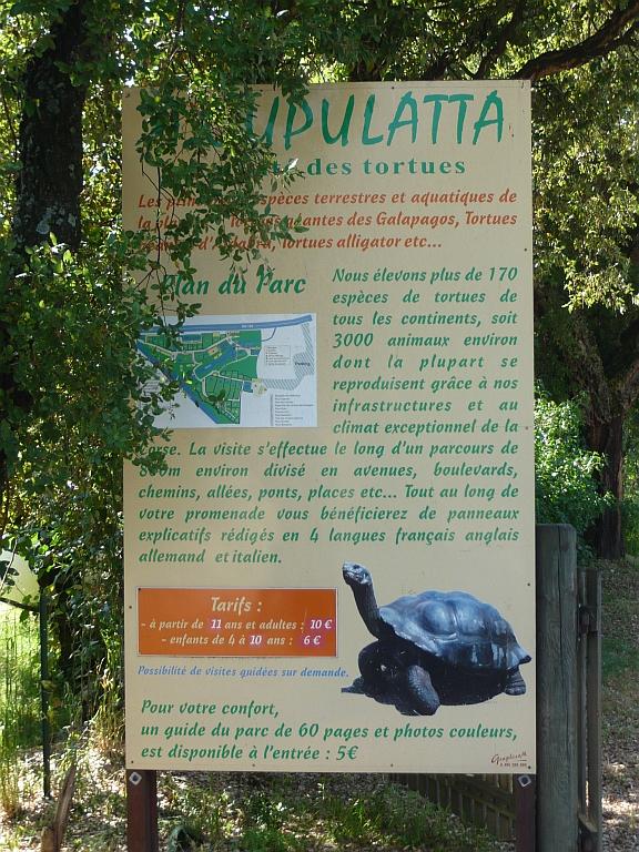P1200005.JPG