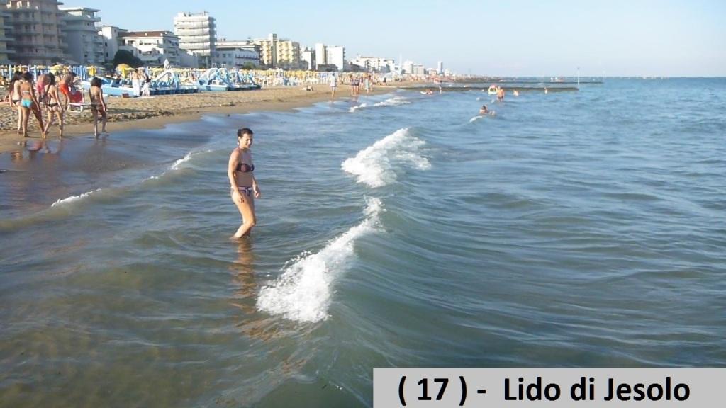 ( 17 ).JPG