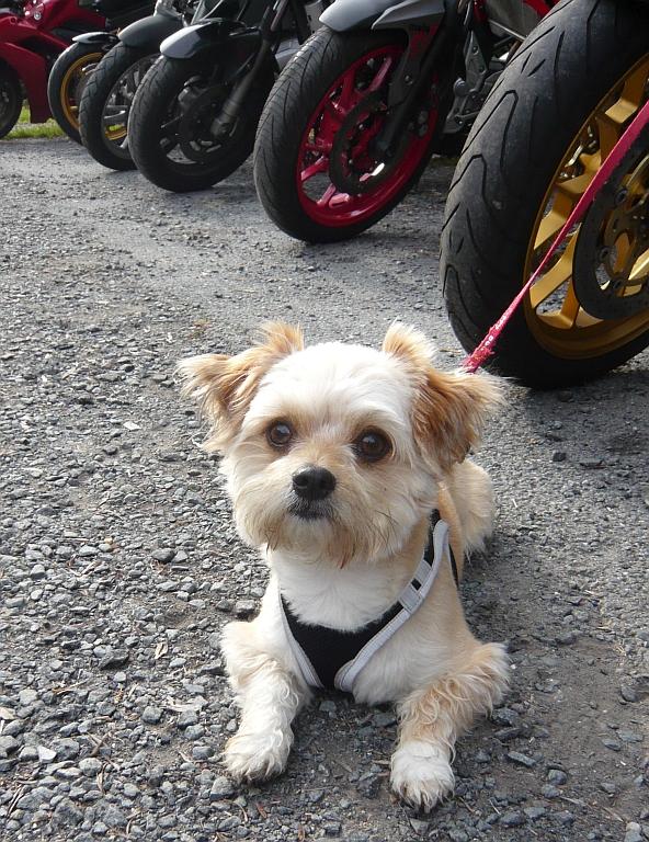 P1260499.JPG P1260499.JPG