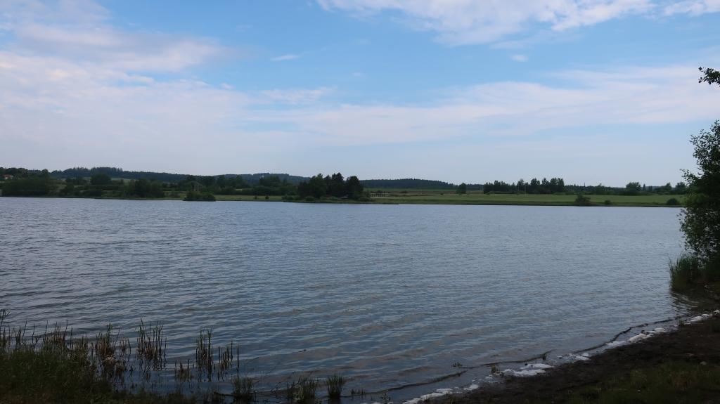 IMG_8706.JPG IMG_8706.JPG