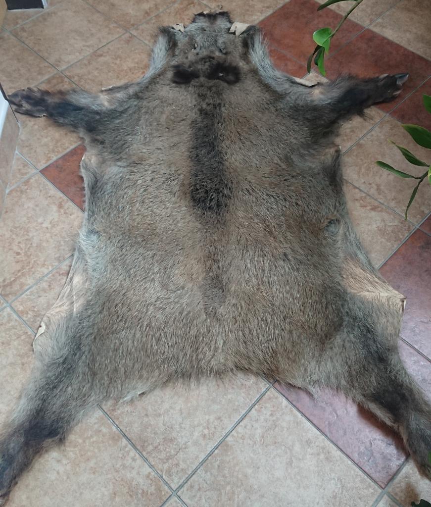 DSC_0129.JPG DSC_0129.JPG