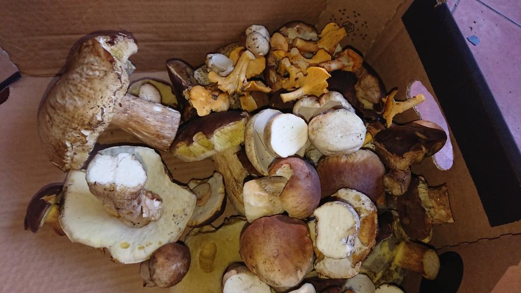 DSC_0293.JPG DSC_0293.JPG