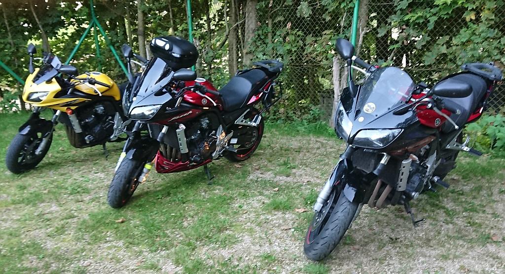 DSC_0304.JPG DSC_0304.JPG